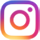 Insta Logo